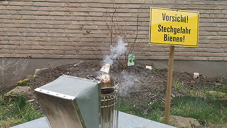 Im Schulgarten summt und brummt es. Schild Vorsicht Stichgefahr Bienen und Imker-Rauchkanne