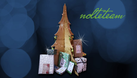 Das nolteteam ist wieder dabei bei der Aktion Emsdettener Wunschbaum Holz-Weihnachtsbaum mit Lichterkette und Geschenken vor dunkelblauem Hintergrund, rechts oben grüner Schriftzug "nolteteam"