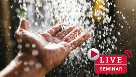 Hand im Regen mit rotem Button "Live Seminar"
